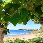 לינה וארוחת בוקר Fronte Mare קאפו ריצוטו